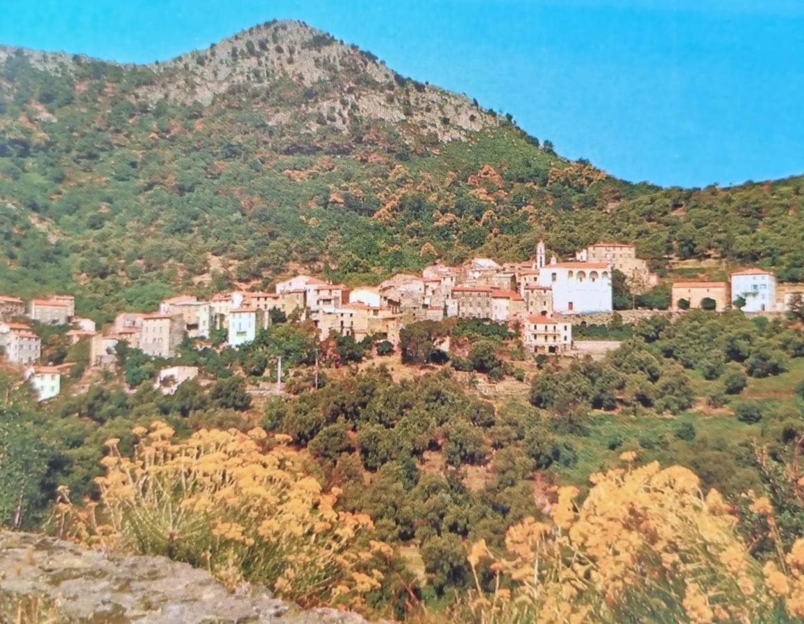 A Stalla Maison De Vacances 6 Personnes ミュロ エクステリア 写真